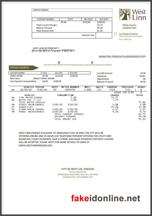 Salem Electric - Oregon Utility Bill Template